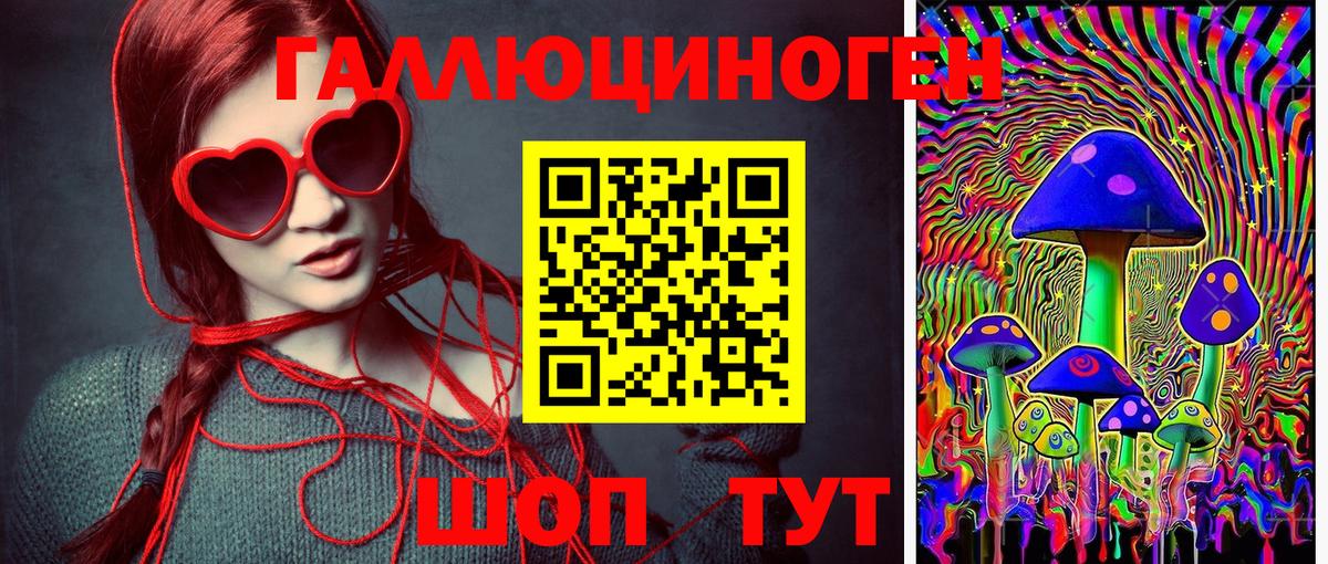 Псилоцибиновые грибы Psilocybe Великий Устюг