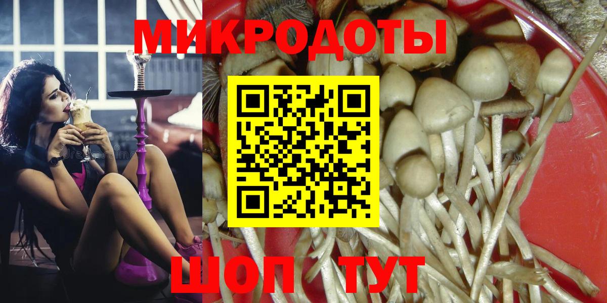 дарнет шоп  Галлюциногенные грибы мицелий  Вход с VPN  Галлюциногенные грибы мицелий  Великий Устюг 